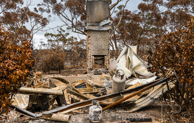 August 2022 / THINKLE_00122