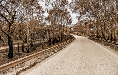 August 2022 / THINKLE_00123