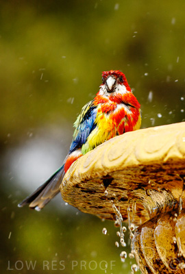 August 2022 / THINKLE_00124