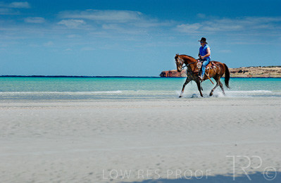 August 2022 / THINKLE_00134