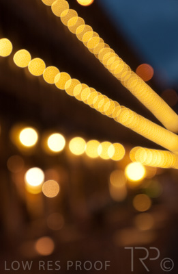 August 2022 / THINKLE_00137