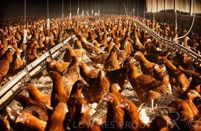 August 2022 / THINKLE_00138