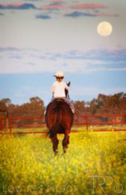 August 2022 / THINKLE_00141