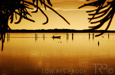 August 2022 / THINKLE_00142