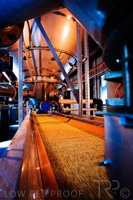 August 2022 / THINKLE_00146