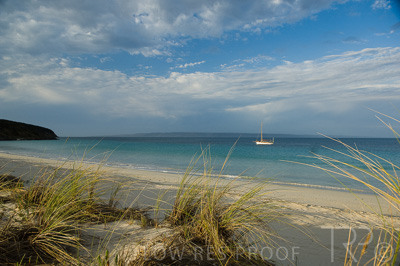 August 2022 / THINKLE_00147