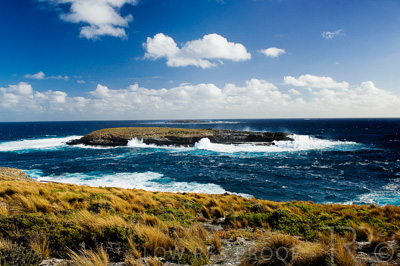 August 2022 / THINKLE_00148