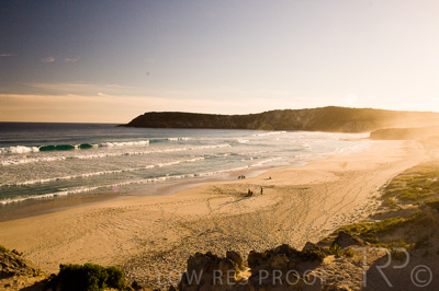 August 2022 / THINKLE_00151