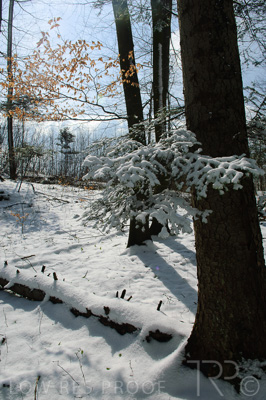 August 2022 / THINKLE_00154