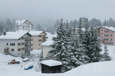 August 2022 / THINKLE_00160