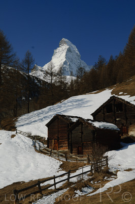 August 2022 / THINKLE_00163