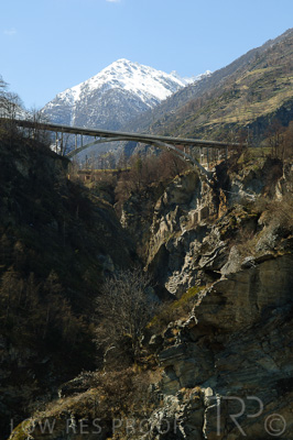 August 2022 / THINKLE_00164