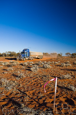 August 2022 / THINKLE_00165