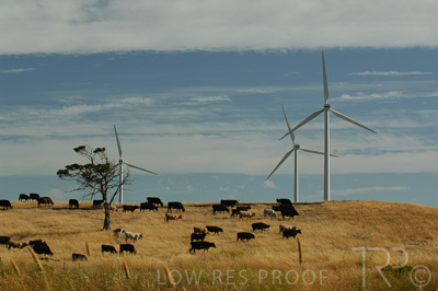 August 2022 / THINKLE_00167