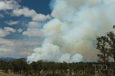 August 2022 / THINKLE_00169