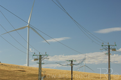 August 2022 / THINKLE_00170