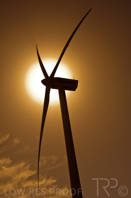 August 2022 / THINKLE_00171