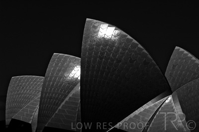 August 2022 / THINKLE_00174