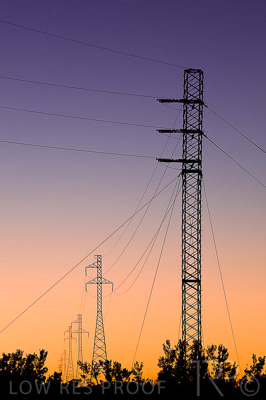 August 2022 / THINKLE_00176