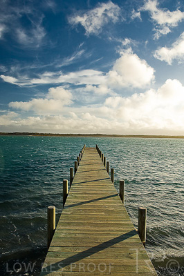 August 2022 / THINKLE_00177