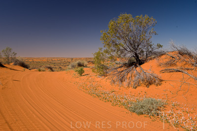 August 2022 / THINKLE_00186