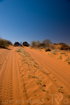 August 2022 / THINKLE_00187