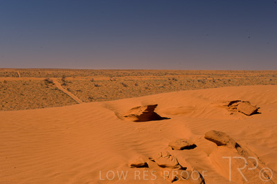 August 2022 / THINKLE_00188