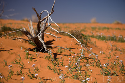 August 2022 / THINKLE_00189