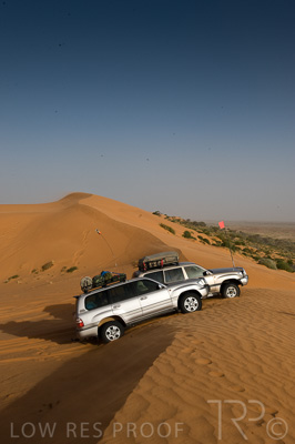 August 2022 / THINKLE_00191