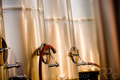 August 2022 / THINKLE_00193