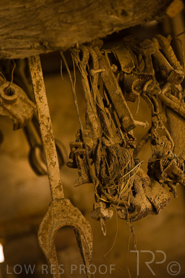 August 2022 / THINKLE_00194