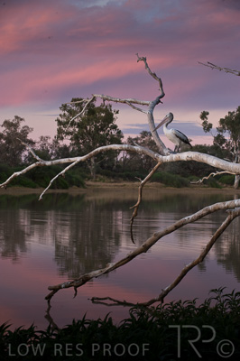 August 2022 / THINKLE_00195