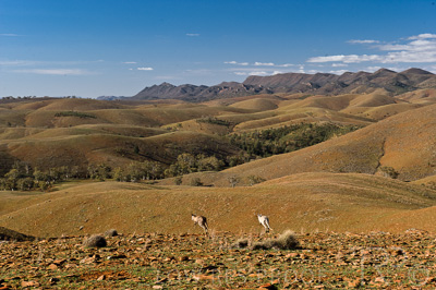 August 2022 / THINKLE_00196