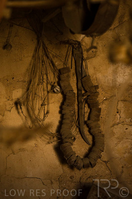 August 2022 / THINKLE_00197