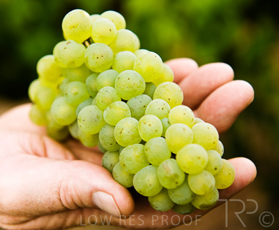 August 2022 / THINKLE_00202