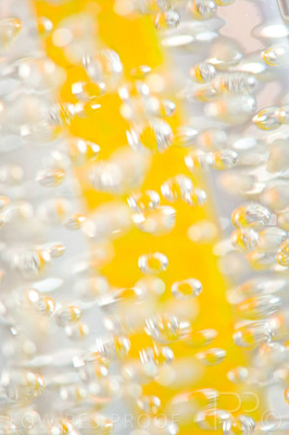 August 2022 / THINKLE_00203