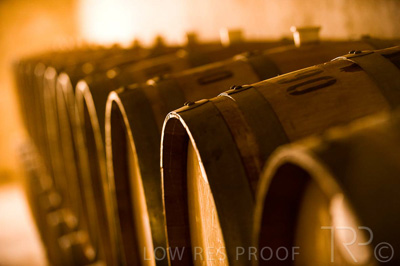 August 2022 / THINKLE_00205