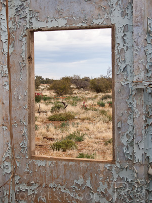 August 2022 / THINKLE_00212