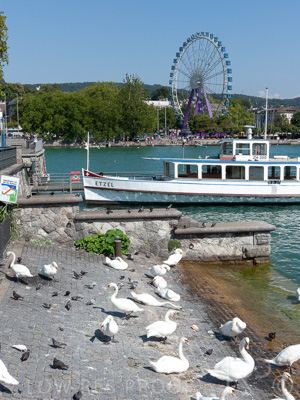 August 2022 / THINKLE_00213