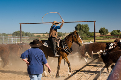 August 2022 / THINKLE_00215