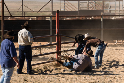 August 2022 / THINKLE_00216