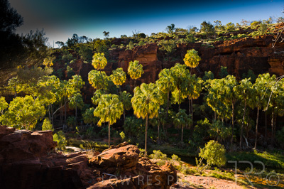 August 2022 / THINKLE_00217