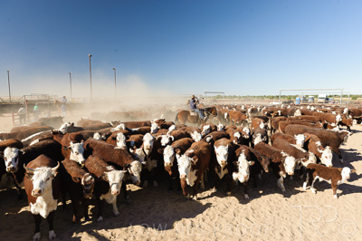 August 2022 / THINKLE_00219