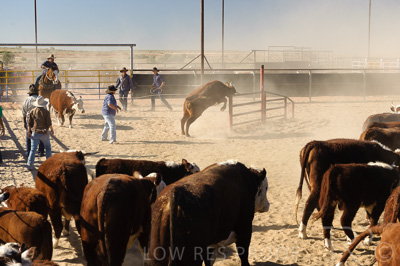 August 2022 / THINKLE_00220