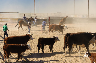 August 2022 / THINKLE_00222