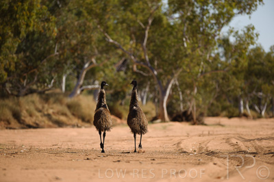 August 2022 / THINKLE_00223