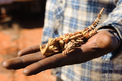 August 2022 / THINKLE_00224