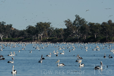 August 2022 / THINKLE_00225