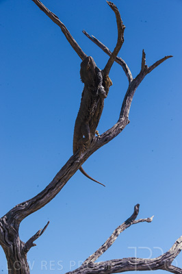 August 2022 / THINKLE_00226