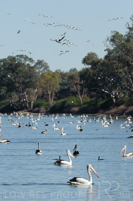 August 2022 / THINKLE_00227